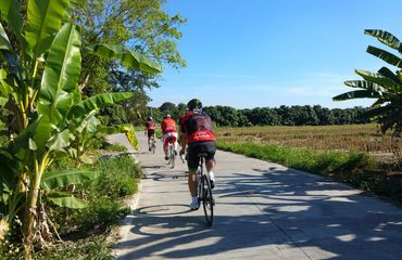 Cyclists from behind riding past farmlands and plantations