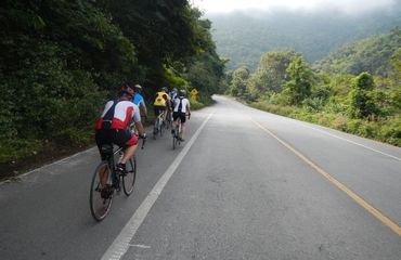 Cyclists riding flat road with lush lands