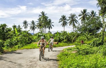 Cyclists on a small road with palm trees behind