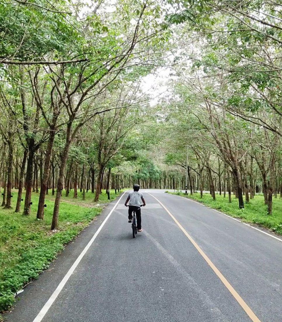 Pedal on the smooth quiet roads through the lush scenery