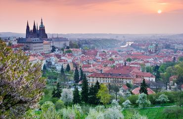 View of prague from park