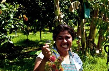 Lady holding produce, smiling