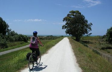 Cyclist riding down a flat trail