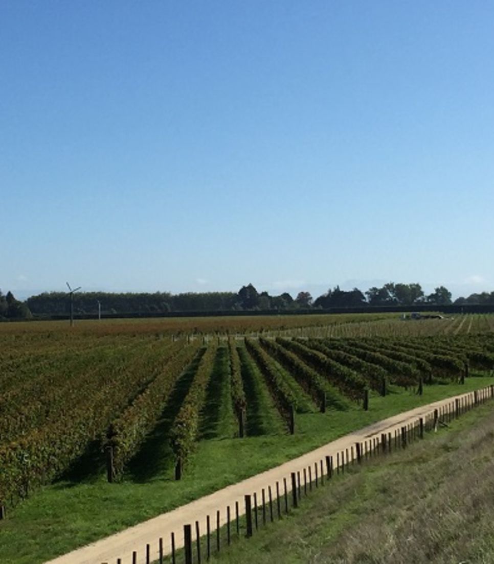 Ride through the green and pleasant landscape, stopping off at vineyards that take your fancy