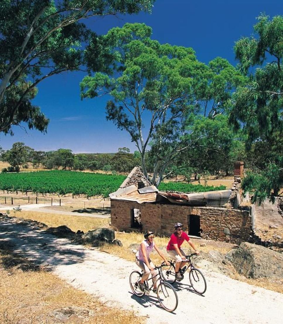 Bike through spectacular scenery on easy, flat and safe trails