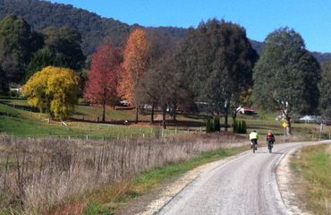 Cyclists on flat wide track with trees in autumnal colors