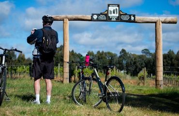 Cyclist at entrance to winery