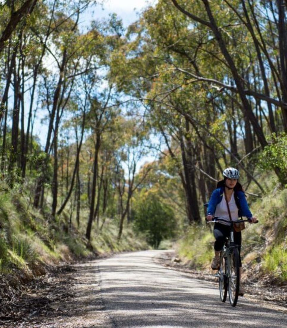 Immerse yourself in the serenity of the countryside and pedal along the relaxing trails