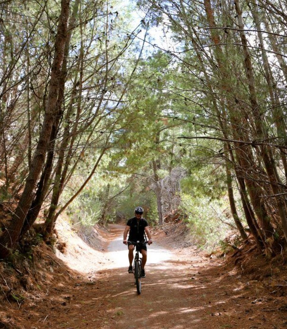 The tranquil and beautiful surroundings will evoke a sense of serenity as you pedal along the rural trail