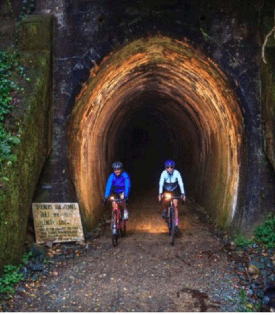 Ride through this lengthy and historic disused rail tunnel on your way to Kaiteriteri