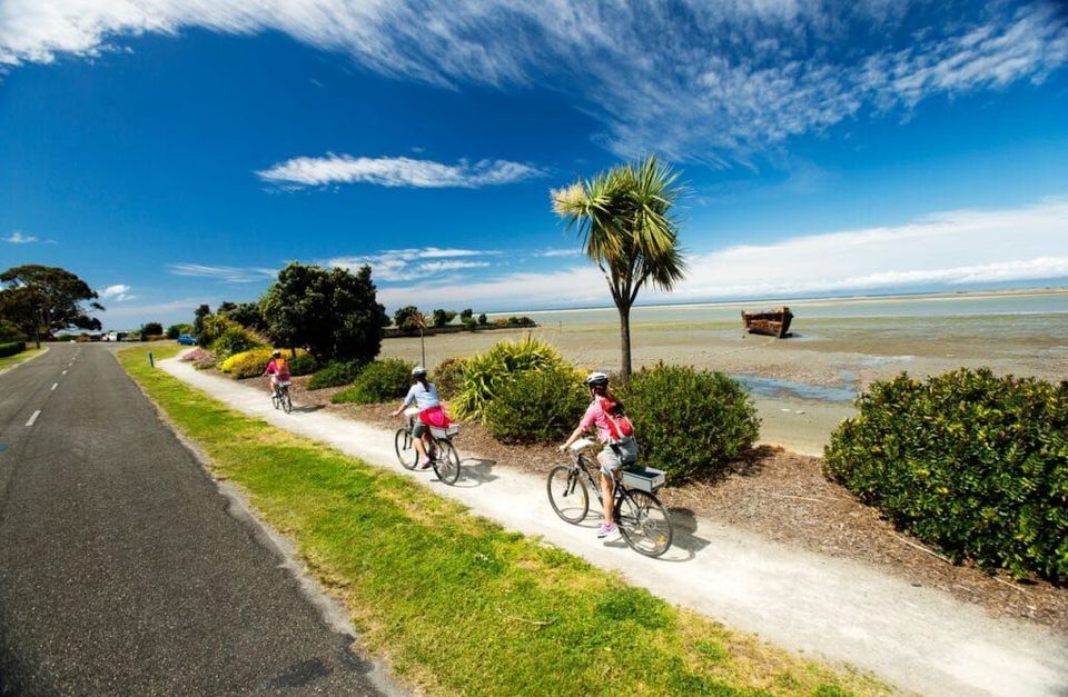 Tour de Great Taste Trail: Cycling Tour from Nelson