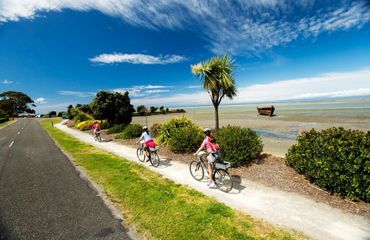 Cyclists on pathway next to sandy beach and palm tree