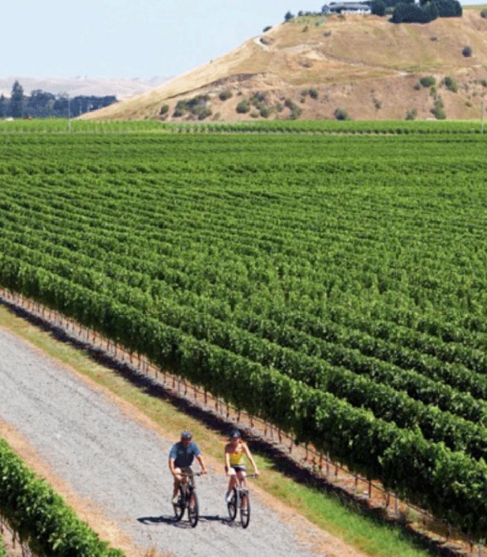 Pedal through gorgeous landscapes and taste the produce later