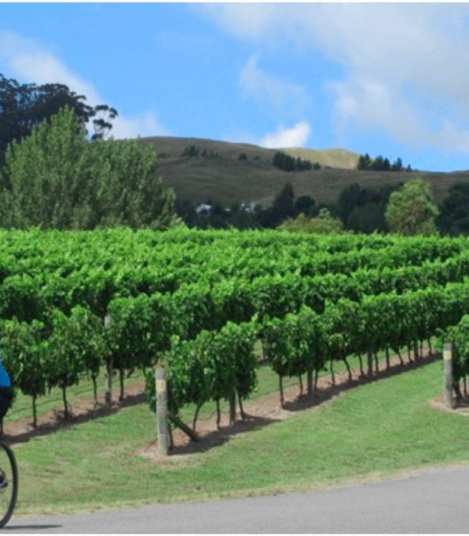 Cycle along relaxing trails through spectacular landscapes