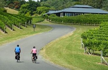 Couple riding down a wide road towards a winery