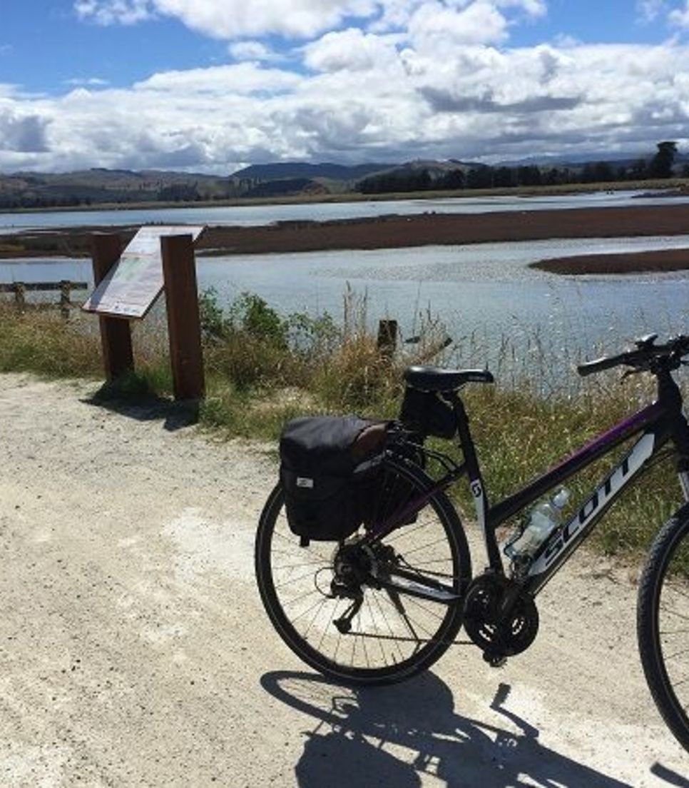 Using the fantastic Scott bikes, you'll discover this wonderful wetland scenery
