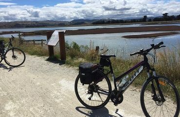 Bikes by an estuary 