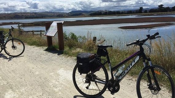 Using the fantastic Scott bikes, you'll discover this wonderful wetland scenery
