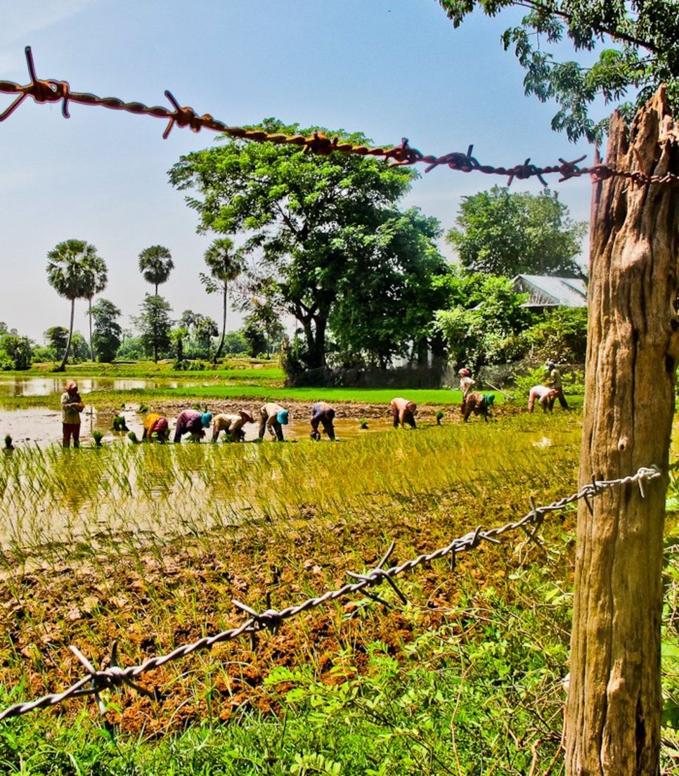 Cycle the backroads and get a glimpse of how Cambodians live