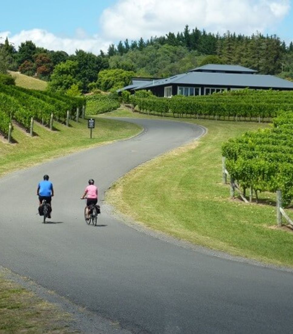 Visit fantastic wineries along scenic roads with easy riding