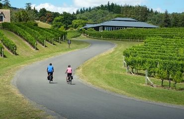 Couple cycling along a road to winery