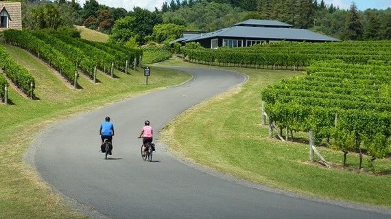Visit fantastic wineries along scenic roads with easy riding