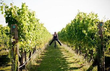 Woman on bike through vineyard