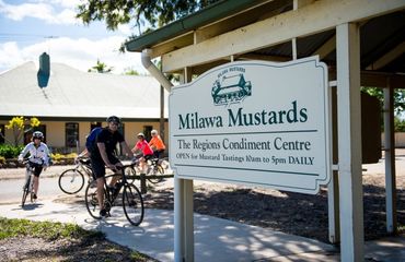 Cyclists at Milawa Mustards