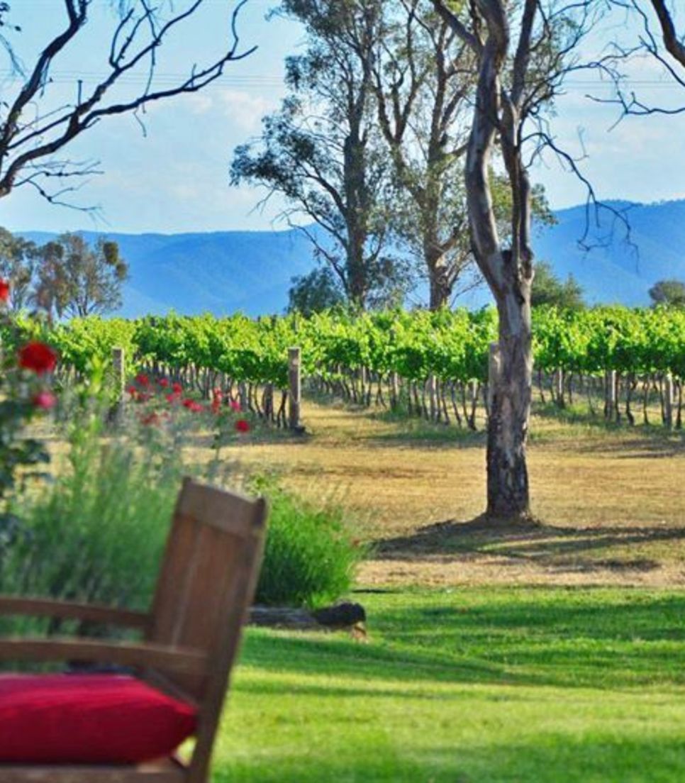 Enjoy the views and the wine on this tour of Mudgee