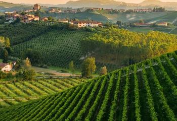 Cycle Tour Italy from the Piedmont Vineyards to the Sea