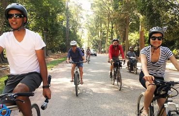 Group of cyclists riding along tree lined road