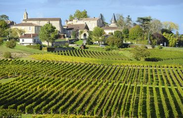 Village and vineyard scene