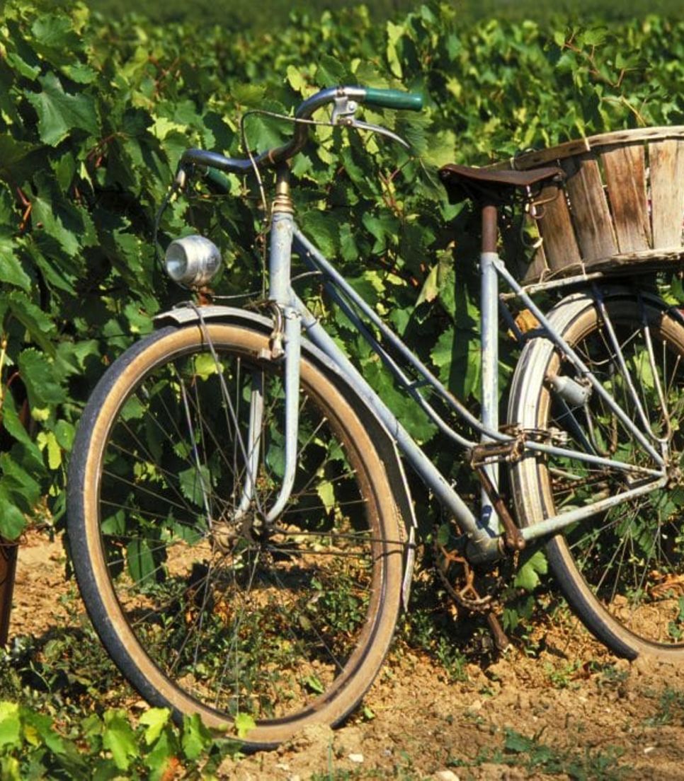 Enjoy the superb countryside as you cycle through this fertile land