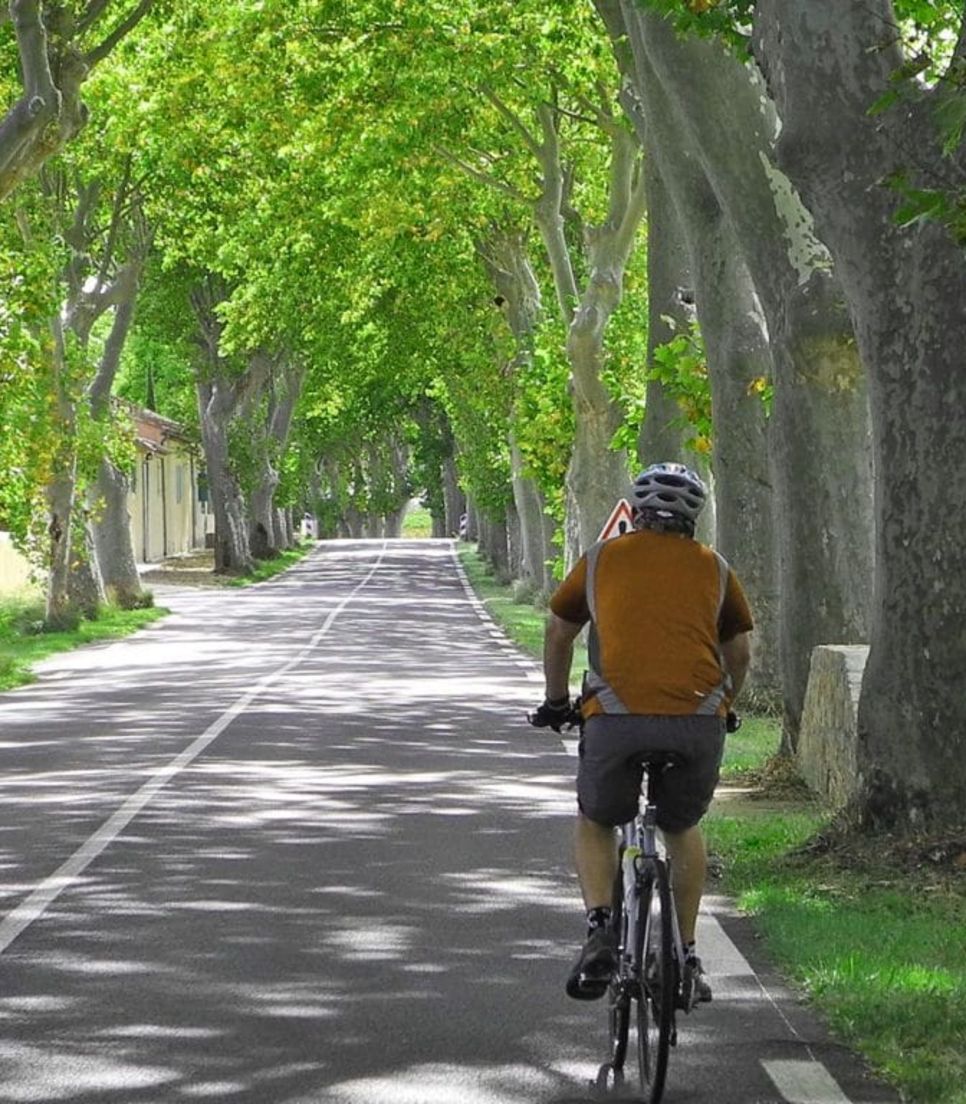 Pedal softly along the beautiful tree-lined roads