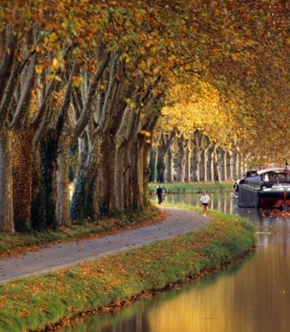 Explore the canal paths and tranquil beauty of this region