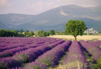 Tour de Provence Luberon