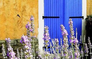 Yellow wall and blue door with lavender in fields