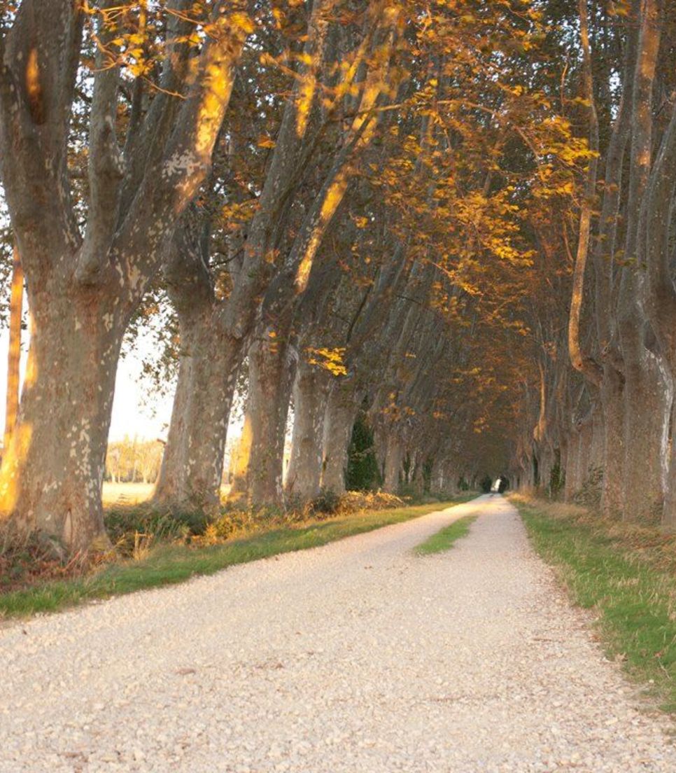 Explore the quiet lanes and countryside of southern France