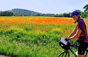 Cyclist by colourful field