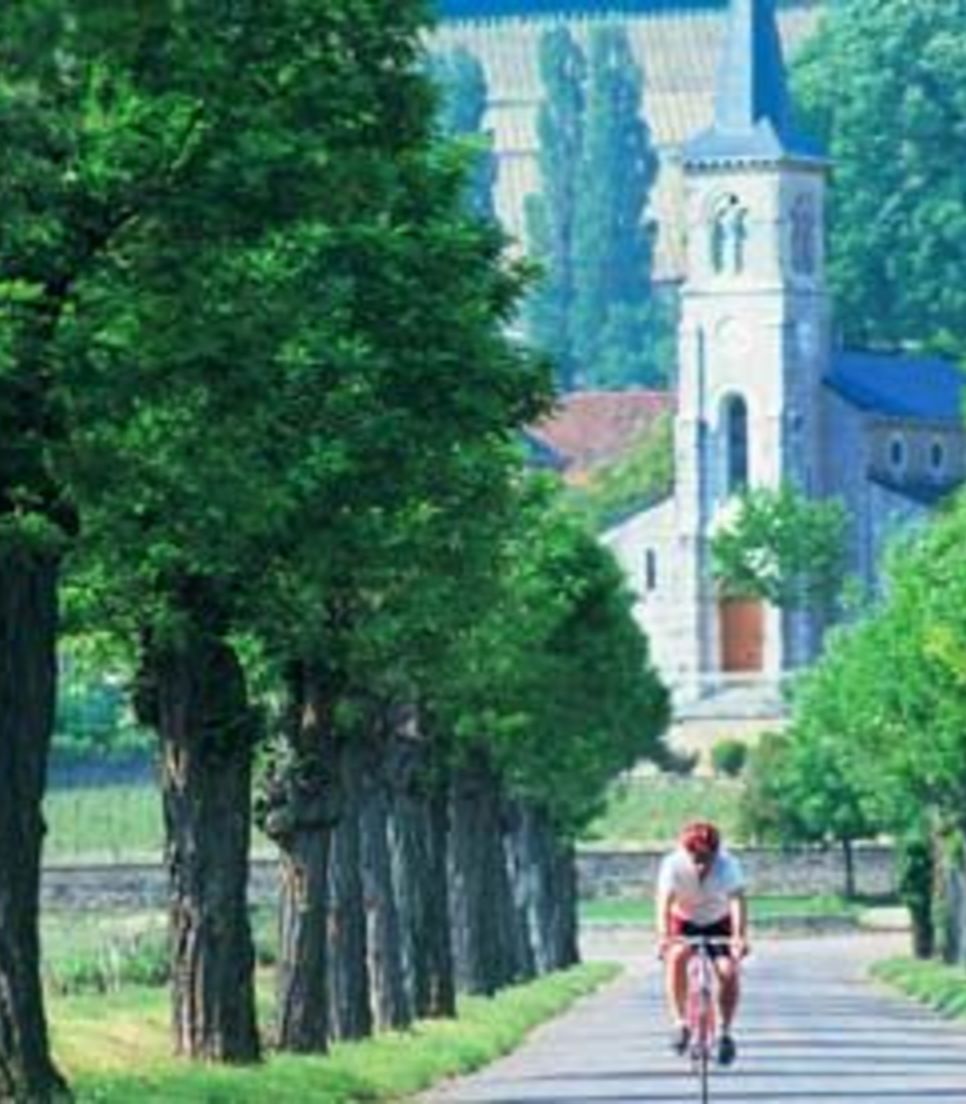 Enjoy riding through the exquisite landscape covered on the tour