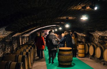 Group in wine cellar