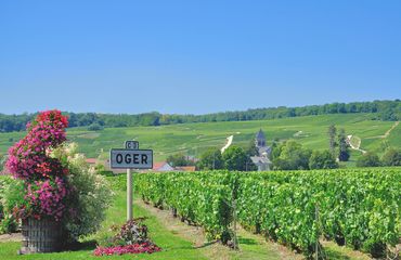The town of Oger