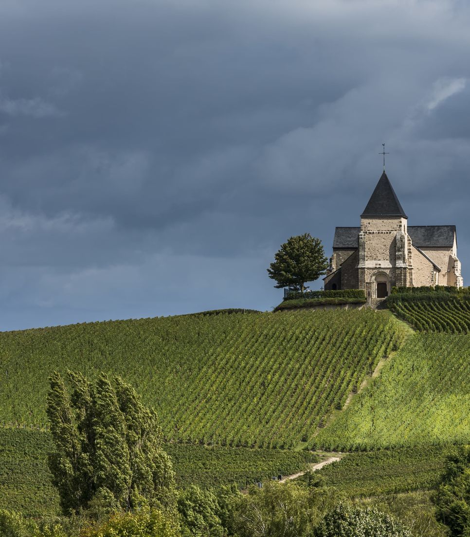 Discover this lovely 12th century church on day 3 in the middle of a vineyard landscape