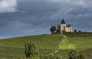 Church in vineyard