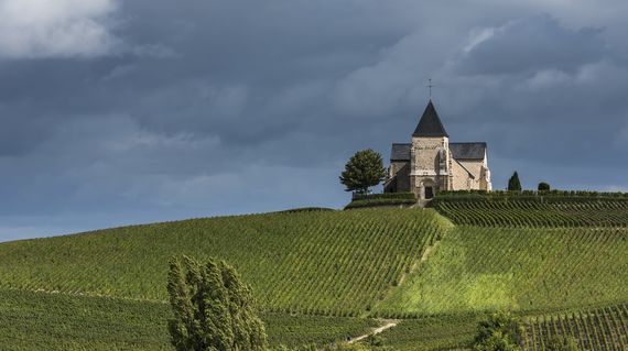 Discover this lovely 12th century church on day 3 in the middle of a vineyard landscape