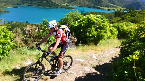 Spend the penultimate day riding this fantastic track in the Marlborough Sounds