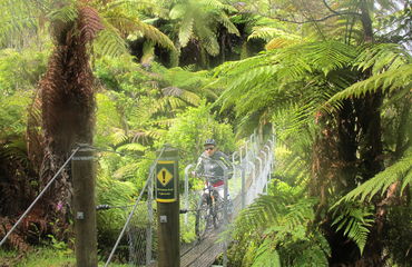 Cyclist riding across bridge