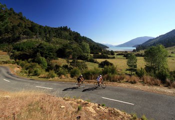 South Island Road Cycling Experience