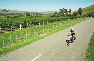Cyclist riding along road with vineyards