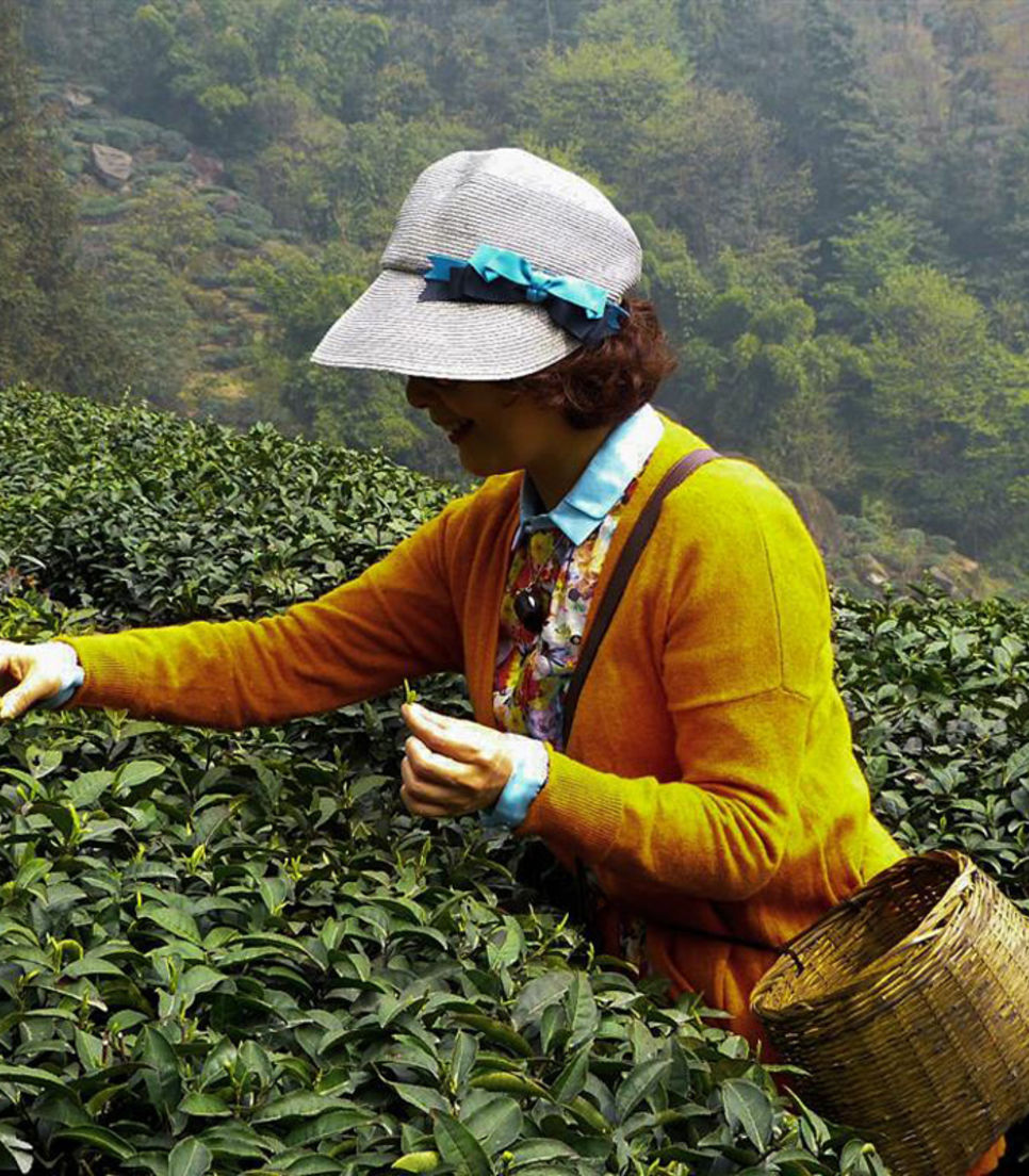 Head over to the birthplace of Chinese tea cultivation